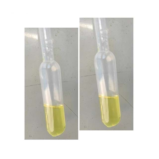 4-메틸-5-티아졸릴에틸 아세테이트