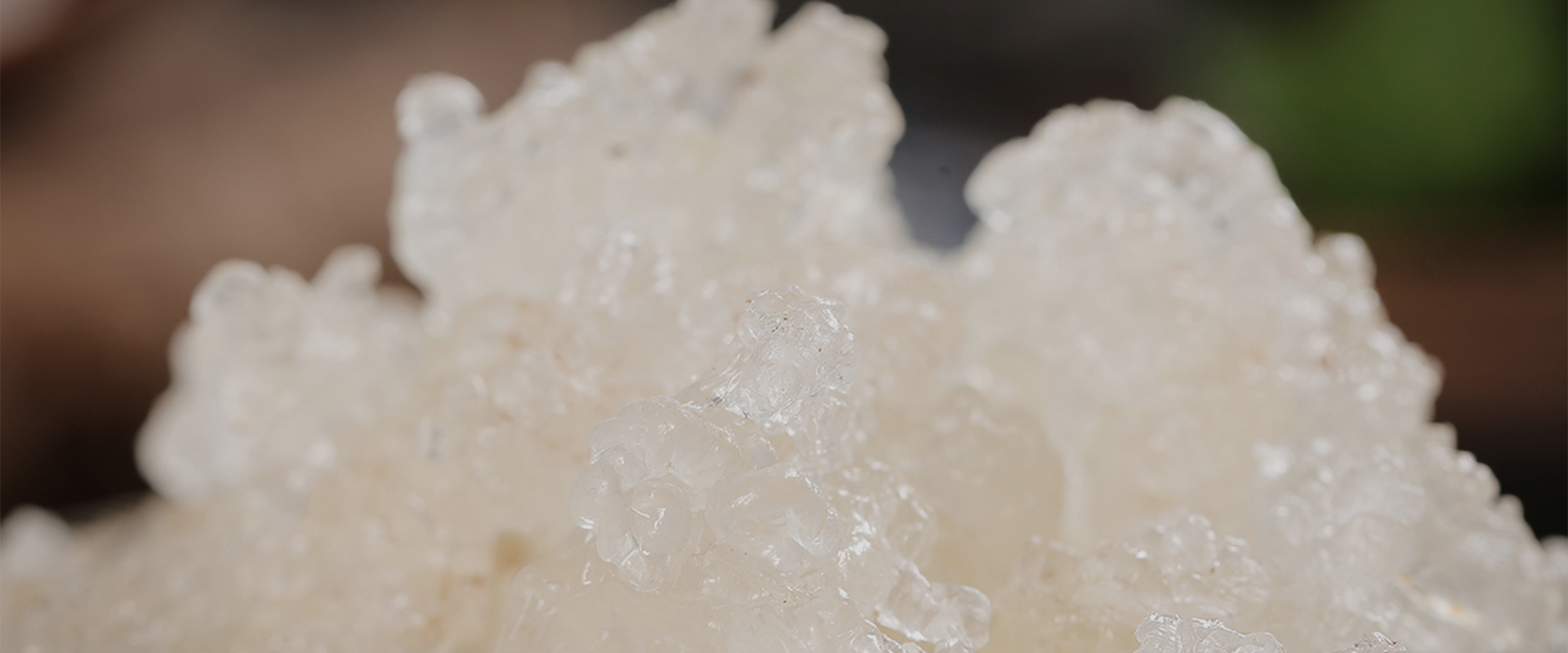 N-vinilcaprolactama de baja viscosidad